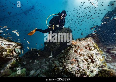 Diver exploring a reef at the gulf of Thailand close to Koh Tao