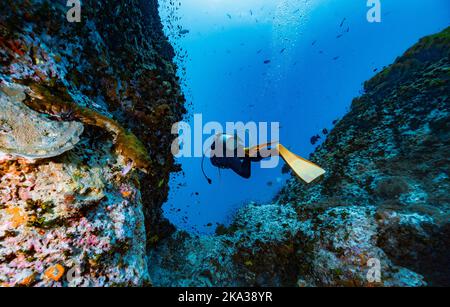 Diver exploring a reef at the gulf of Thailand close to Koh Tao Stock Photo