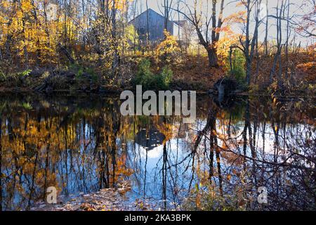 Old barn and fall colored trees reflecting in a still water pond Stock Photo