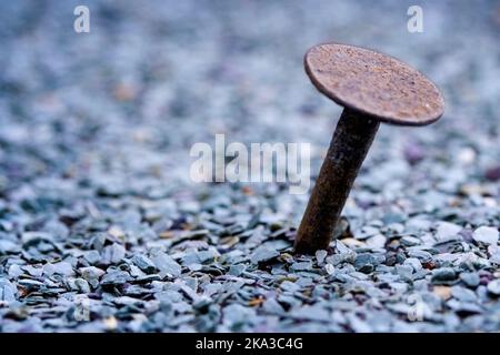 Flat headed felt roofing nail with visible shaft, nail or tack is at an angle. Bluish tone to small chippings on roofing felt surface, soft background Stock Photo