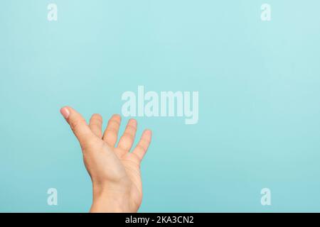 Woman hand open palm up gesture. Female hand taking, giving, showing something on light blue background. First person view Stock Photo