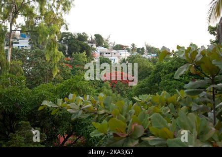 Vegetation and houses, Port-au-Prince, Haiti Stock Photo - Alamy