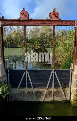 Wooden doors in irrigation ditch, to control entry and exit of water flow, Valencia rice fields Stock Photo