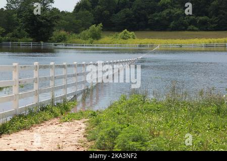 Heavy rains cause a horse pasture to temporarily become a lake in southern Missouri. Stock Photo