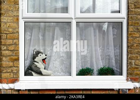 A large toy dog with a red tongue sitting in a front window of a suburban house, UK Stock Photo