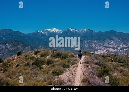 Looking out at Mount Baden-Powell and the San Gabriel Mountains, Pacific Crest Trail, Wrightwood, California, USA Stock Photo