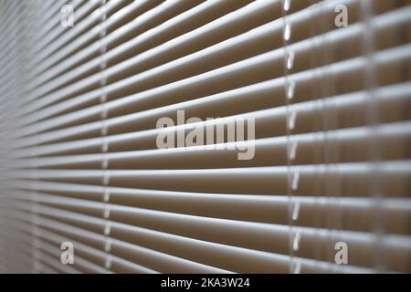 Blinds in office. Interior details. Window is closed from light. Protection from spicy sunlight. Blinds on window. Stock Photo