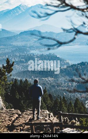 A vertical back view of a young man admiring the beauty of the lake surrounded by green forests and snowy mountains Stock Photo