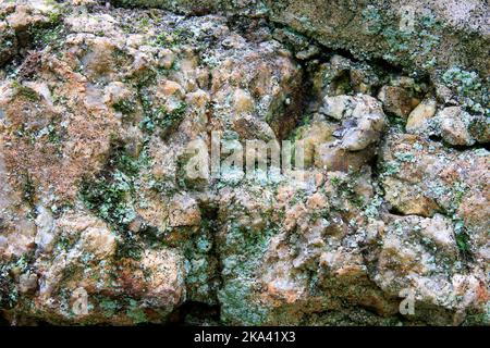Green lichen growing on rouch patterned rock face. Stock Photo