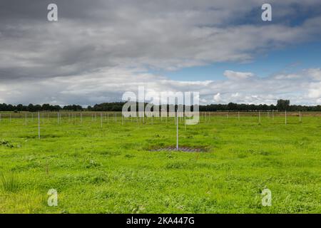 Landscape with close up of part of the largest Low-Frequency Array, LOFAR, radio telescope in the world for doing astronomical research and located Stock Photo