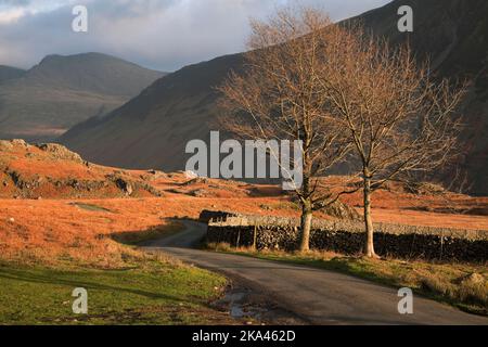 Sca Fell from the lane between Greendale and Wast Water, in Wasdale, Lake District, UK Stock Photo