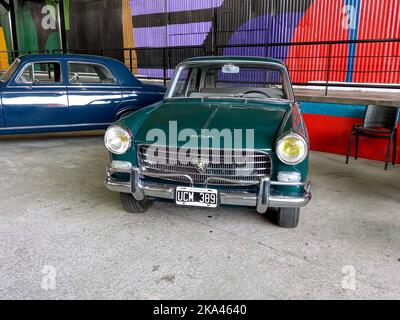 Old green popular Peugeot 404 sedan 1960 - 1975 in a warehouse yard. Front view. Grill. Expo Fierro 2022 classic car show. Copyspace. Stock Photo