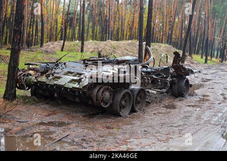 KHARKIV REGION, UKRAINE - OCTOBER 26, 2022 - A destroyed Russian tank is pictured in a forest near Izium after the liberation of the area from Russian Stock Photo
