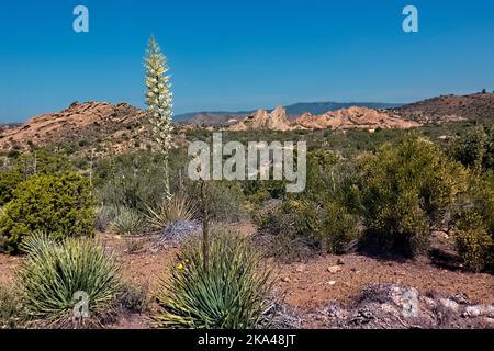 Scenery in Vasquez Rocks Natural Area Park, Pacific Crest Trail, Agua Dulce, California, USA Stock Photo