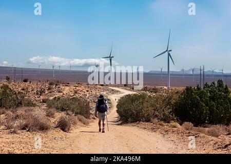 Hiking near windmills in the Mojave Desert, Pacific Crest Trail, Tehachapi, California, USA Stock Photo