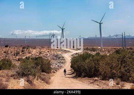 Hiking near windmills in the Mojave Desert, Pacific Crest Trail, Tehachapi, California, USA Stock Photo