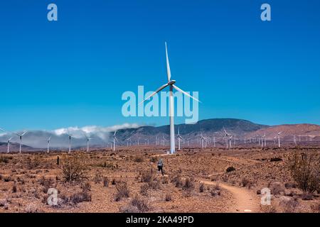 Hiking near windmills in the Mojave Desert, Pacific Crest Trail, Tehachapi, California, USA Stock Photo