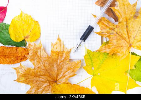 Blank sheet of notebook for entries in autumn leaves. Writing pen and notepad.. Stock Photo