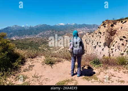 Looking out at Mount Baden-Powell and the San Gabriel Mountains, Pacific Crest Trail, Wrightwood, California, USA Stock Photo