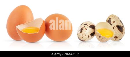 Set of chicken and quail eggs on white background with clipping path. Stock Photo