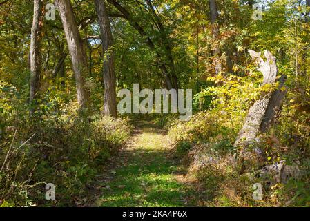 Hiking trail and Fall landscape at Matthiessen State Park, Illinois