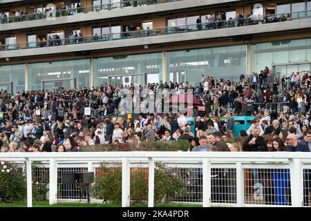 Ascot, Berkshire, UK. 29th October, 2022. Racegoers enjoying their day at Ascot Races. Credit: Maureen McLean/Alamy Stock Photo