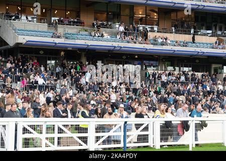 Ascot, Berkshire, UK. 29th October, 2022. Racegoers enjoying their day at Ascot Races. Credit: Maureen McLean/Alamy Stock Photo