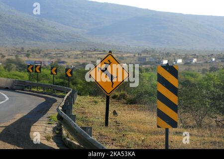 feira de santana, bahia, brazil - october 15, 2022: traffic sign indicating the existence of wild animals along the federal highway BR 116 in the city Stock Photo