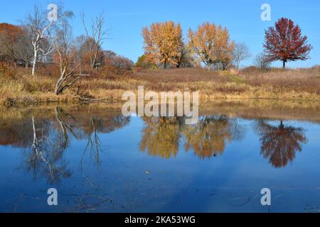 Fall colors in Southwestern Wisconsin Stock Photo