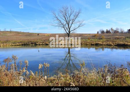 Fall colors in Southwestern Wisconsin Stock Photo