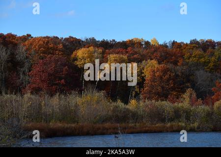 Fall colors in Southwestern Wisconsin Stock Photo