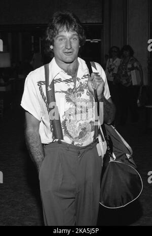 Robin Williams 1979 Credit: Ralph Dominguez/MediaPunch Stock Photo - Alamy