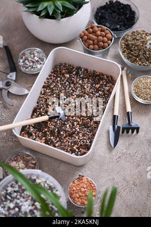 plastic box for soil substrate preparation for transplanting ...