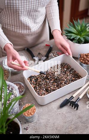 soil substrate preparation for transplanting houseplants on concrete background Stock Photo