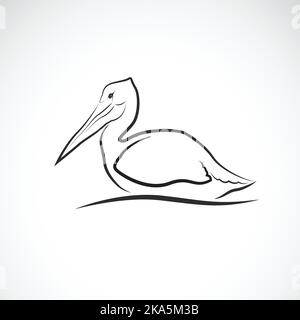 Vector of Spot-billed pelican bird (Pelecanus philippensis) on white background. Wild Animals. Easy editable layered vector illustration. Stock Vector