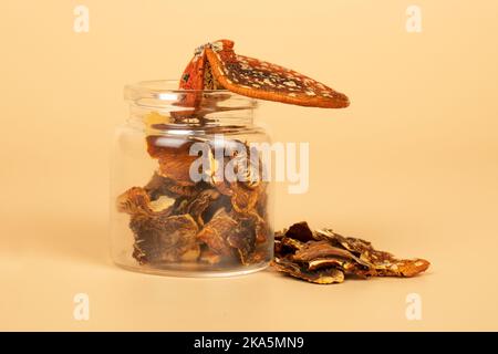 dried psychedelic mushroom fly agaric, microdosing for brain biohacking and expansion of consciousness stimulant. Stock Photo