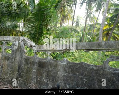 Broken and cracked concrete wall with green tree and garden in background, Damaged gray old wall Stock Photo