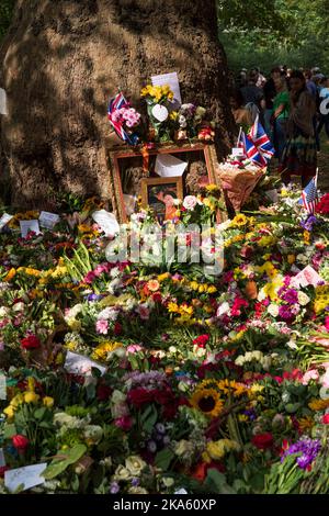 Some the floral tributes in Green Park, left by mourners to mark the Queen Elizabeth II death. Green Park, London, UK.  11 Sep 2022 Stock Photo