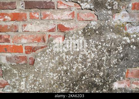 brick wall with crumbling plaster for background use Stock Photo