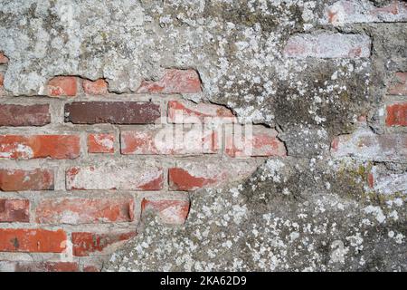 brick wall with crumbling plaster for background use Stock Photo