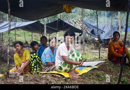 SUMATRA, INDONESIA 20150415. People from Orang Rimba Bujang Tampui tribe in the rainforest on Sumatra Wednesday. The tribe is Indonesia's last rainforest nomads. This group of people are very vulnerable and threatened by deforestation, which takes place on a large scale in Indonesia. The norwegian Prime Minister Erna Solberg visited them Wednesday. She is on an official visit to Indonesia, where the Norwegian-Indonesian cooperation to save rainforests is a central theme. Photo: Heiko Junge / NTB scanpix Stock Photo