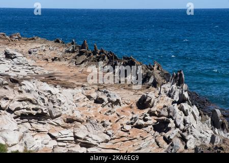 Dragons teeth rocks on the coast of Maui Hawaii USA Stock Photo