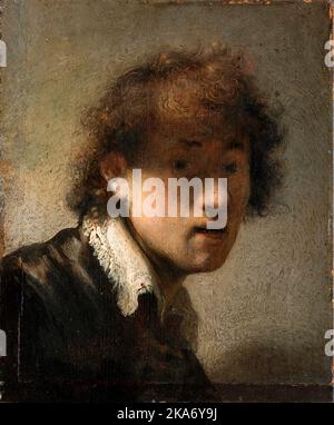 Rembrandt van Rijn (1606-1669), Self Portrait painting in oil on wood, 1629 Stock Photo