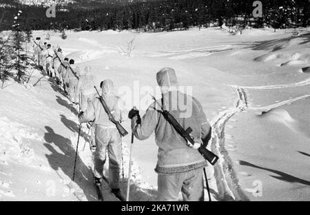 Norway during German occupation 1940-45. WW2 - Norway. Resistance. A group of armed home forces skiing Resistance battles. Home forces were led by the supreme Norwegian military command in London, and received weapons, food and even. instructors sent per. fly. Here a group of home crews on skis, with guns and wearing white disappearance suits, somewhere in Norway. Photo: NTB scanpix Stock Photo