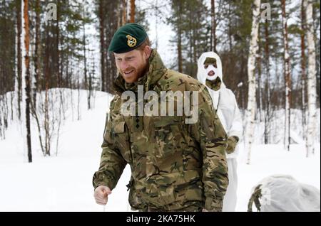 Bardufoss, Norway 20190214. Prince Harry visits Bardufoss Air Force Base on the 50th anniversary of Operation Clockwork, the Arctic warfare training exercise. Here he visits the Royal Marines out in the field. Photo: Rune Stoltz Bertinussen / NTB scanpi Stock Photo