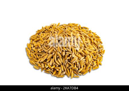 High angle view closeup pile of paddy rice isolated on white background with clipping path. Stock Photo