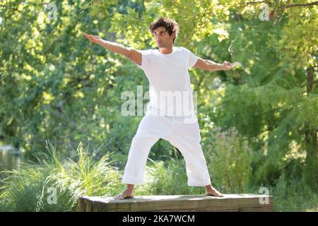 young attractive man making thai-chi movements in the countryside Stock Photo