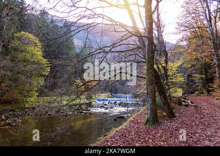 Gorges de l'Areuse, Noirague, Neuchatel, Switzerland, Europe. Beautiful romantic autumn landscape in Jura mountains. River with cascade, autumnal natu Stock Photo