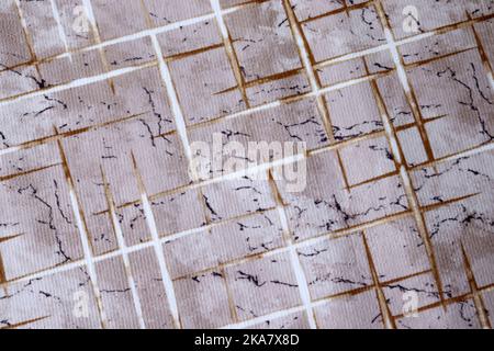 Close-up of decorative carpet models Stock Photo