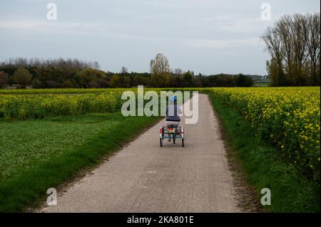 Active 40 yo woman with the Down Syndrome driving her tricycle through the fields of Tienen, Flanders, Belgium Stock Photo